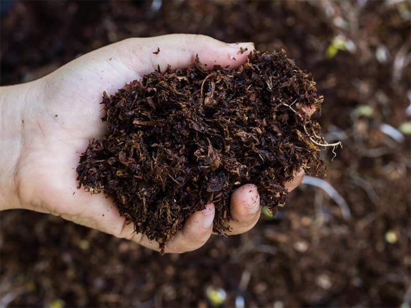 خاک آلی سالم به گیاهان تغذیه رسانی می کند