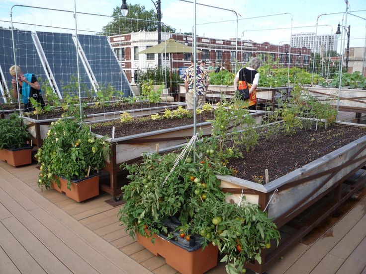 ایجاد بسترهای مرتفع در پرورش سبزیجات روف گاردن و تراس